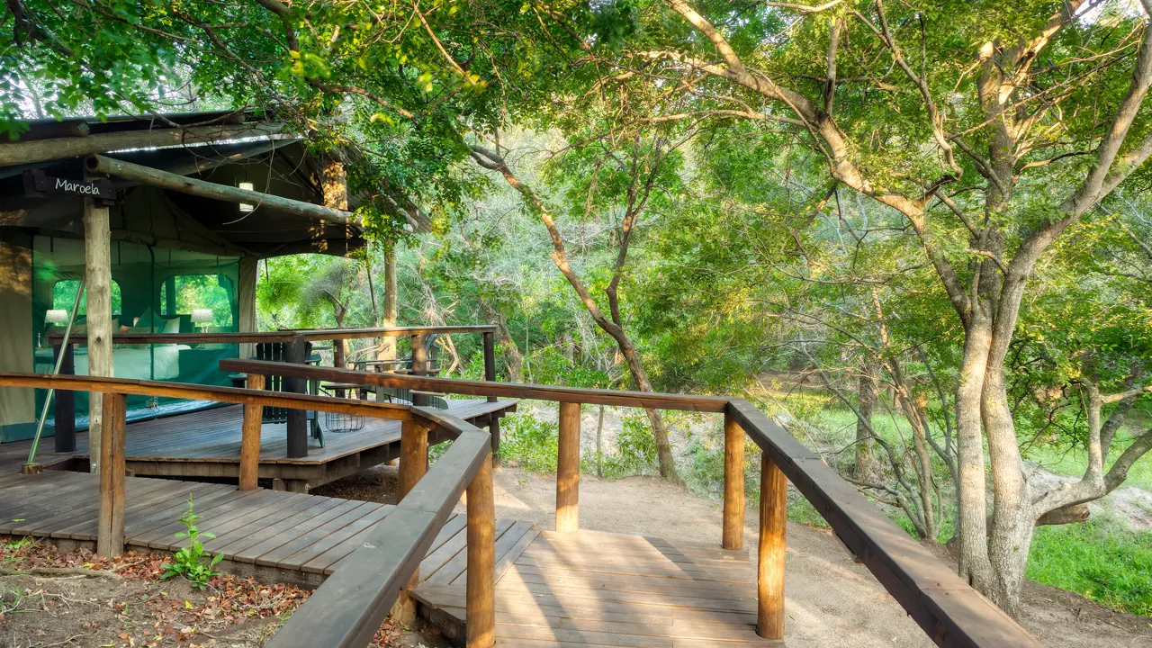 Camp Bethel, walkway to tent