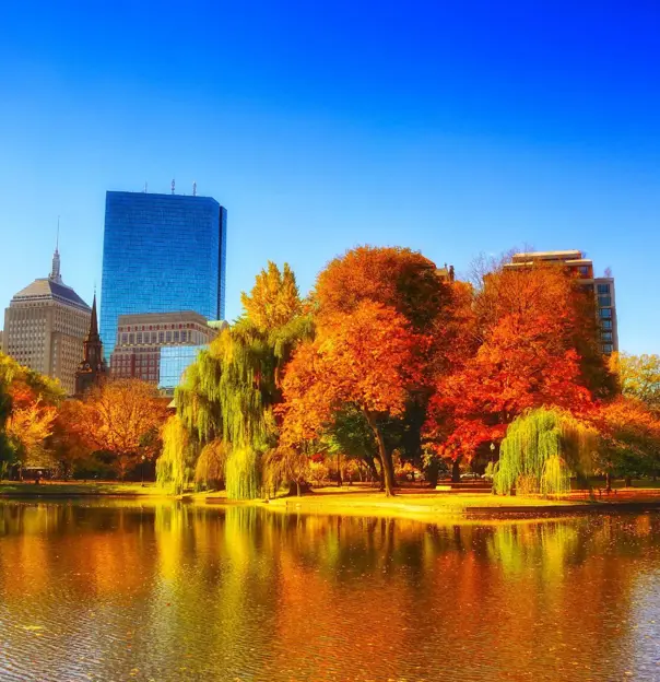 Colourful autumn foliage in Boston Common park, Massachusetts, with historic buildings and skyscrapers in the background