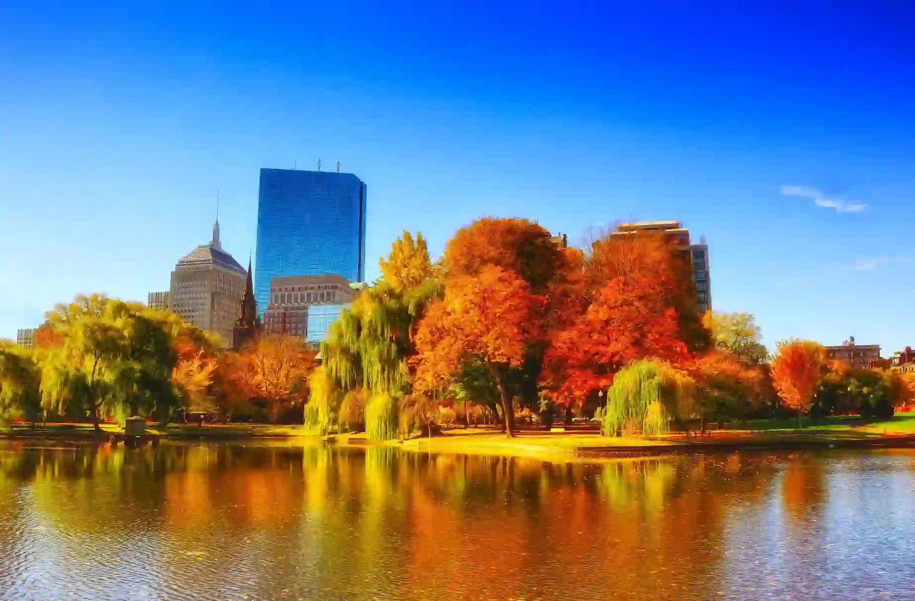 Colourful autumn foliage in Boston Common park, Massachusetts, with historic buildings and skyscrapers in the background