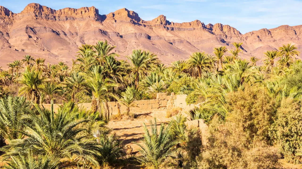 Oasis in desert landscape between Agdz and Zagora, Atlas Mountains
