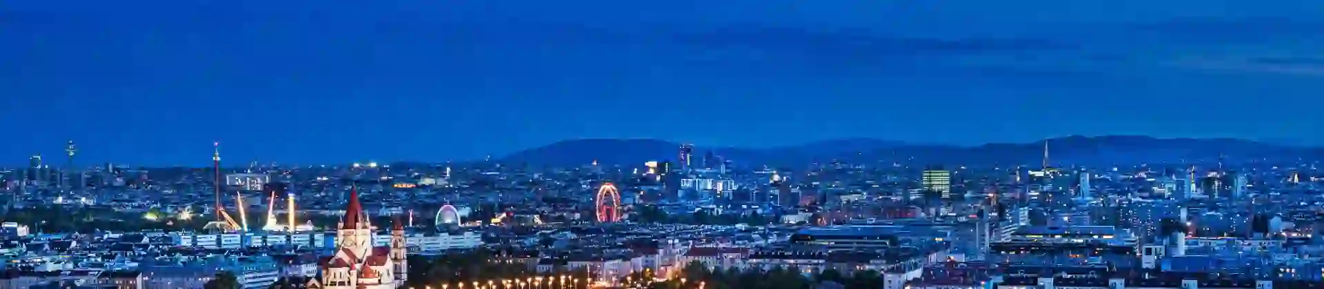 Vienna's skyline at night