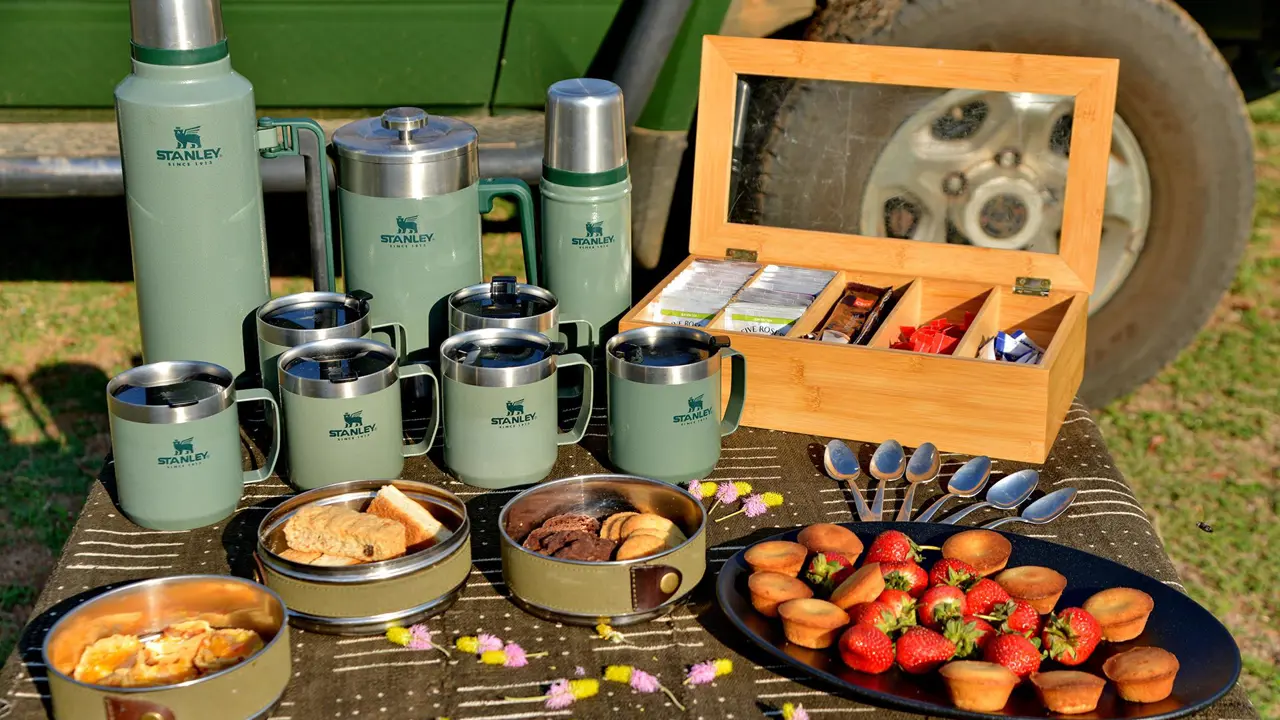 Safari Plains morning safari stop