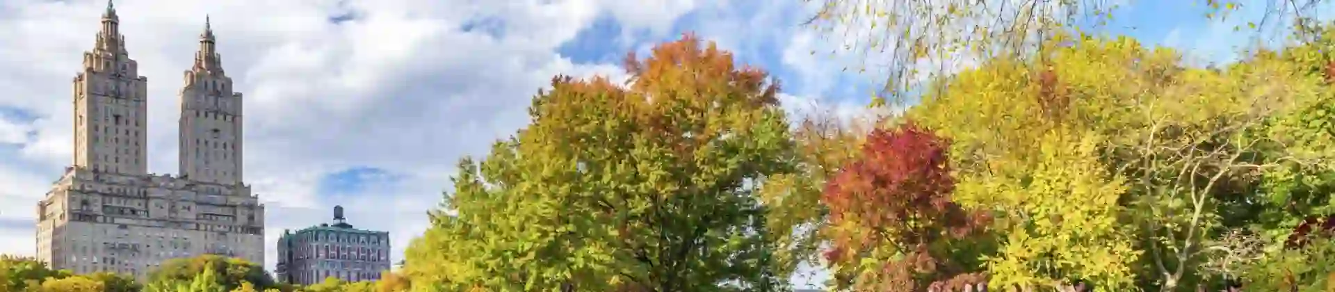 Central Park in New York City during autumn, with people rowing boats on a calm river surrounded by blooming trees, lush greenery, and the city skyline in the background