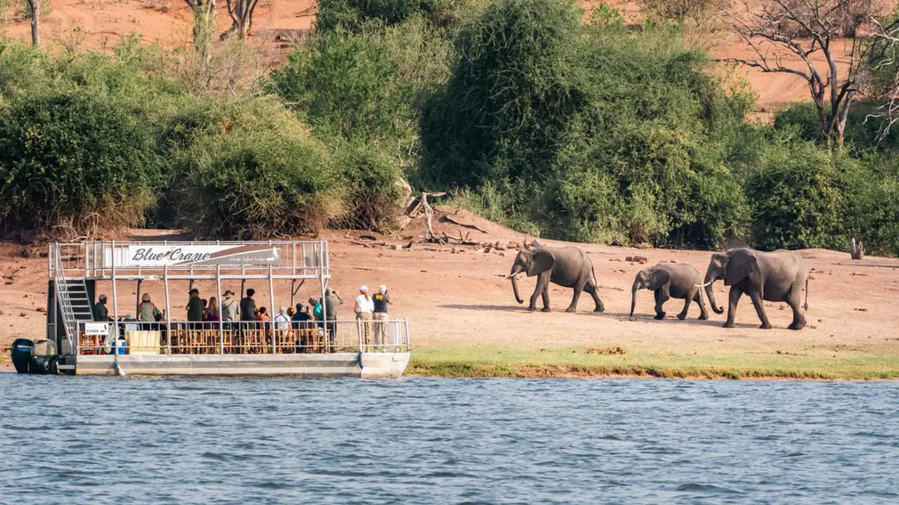 Chobe Safari Lodge, boat safari