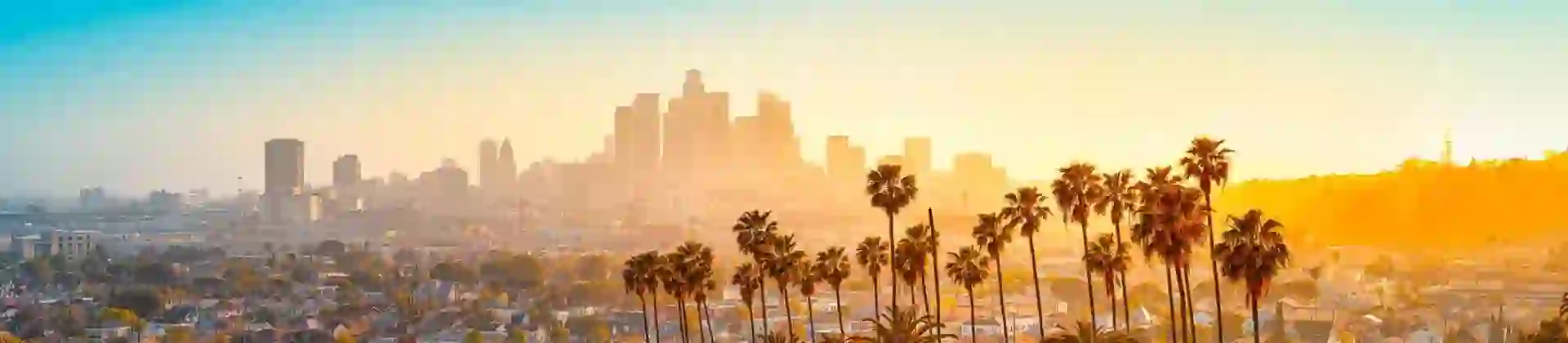 Palm trees on a hillside overlooking houses and streets in the valley below, with the city of Los Angeles glowing in warm sunset light