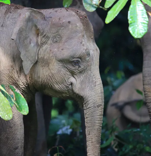 Shutterstock 611904101