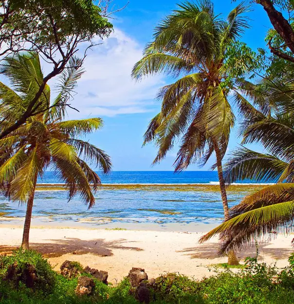 Mombasa Beach in Kenya with soft white sand, clear turquoise waters, and gentle waves, framed by palm trees and a bright blue sky