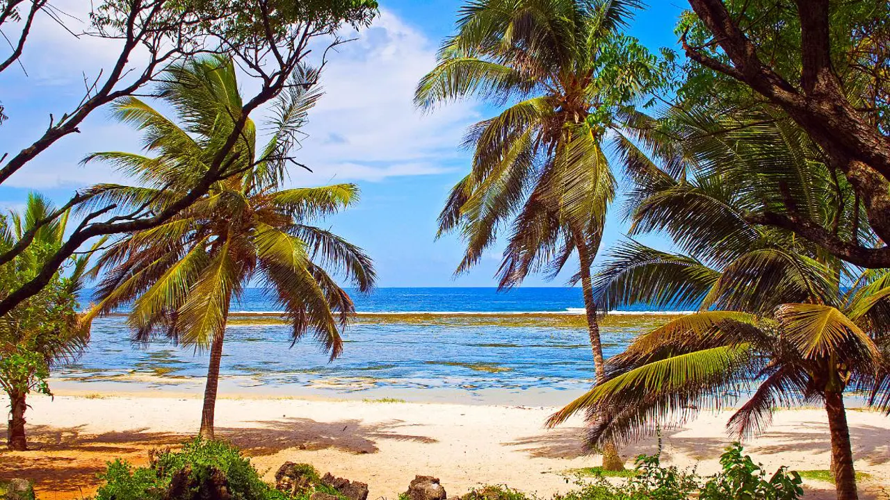 Mombasa Beach in Kenya with soft white sand, clear turquoise waters, and gentle waves, framed by palm trees and a bright blue sky