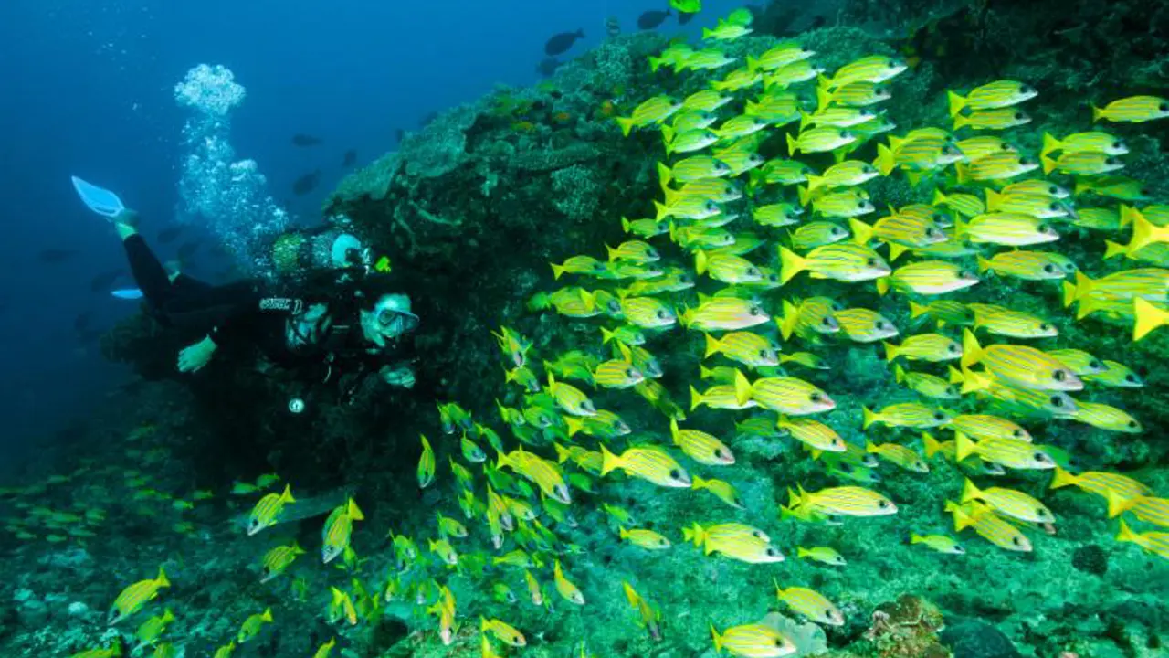 Machangulo Beach Lodge, Mozambique, diving