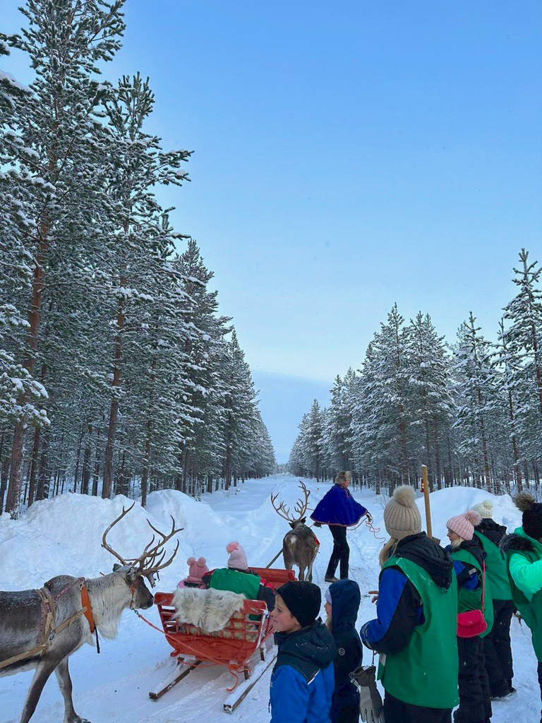 Sledge Ride, Lapland