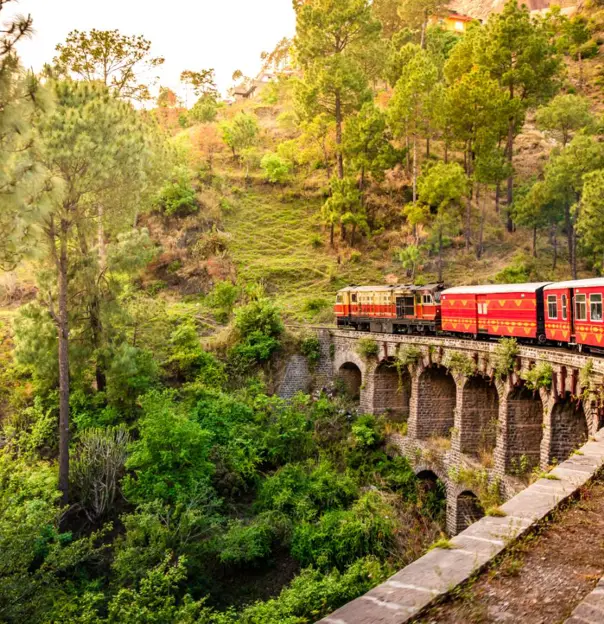 The heritage toy train crossing a railway bridge on the Kalka–Shimla route, surrounded by lush green hills and trees