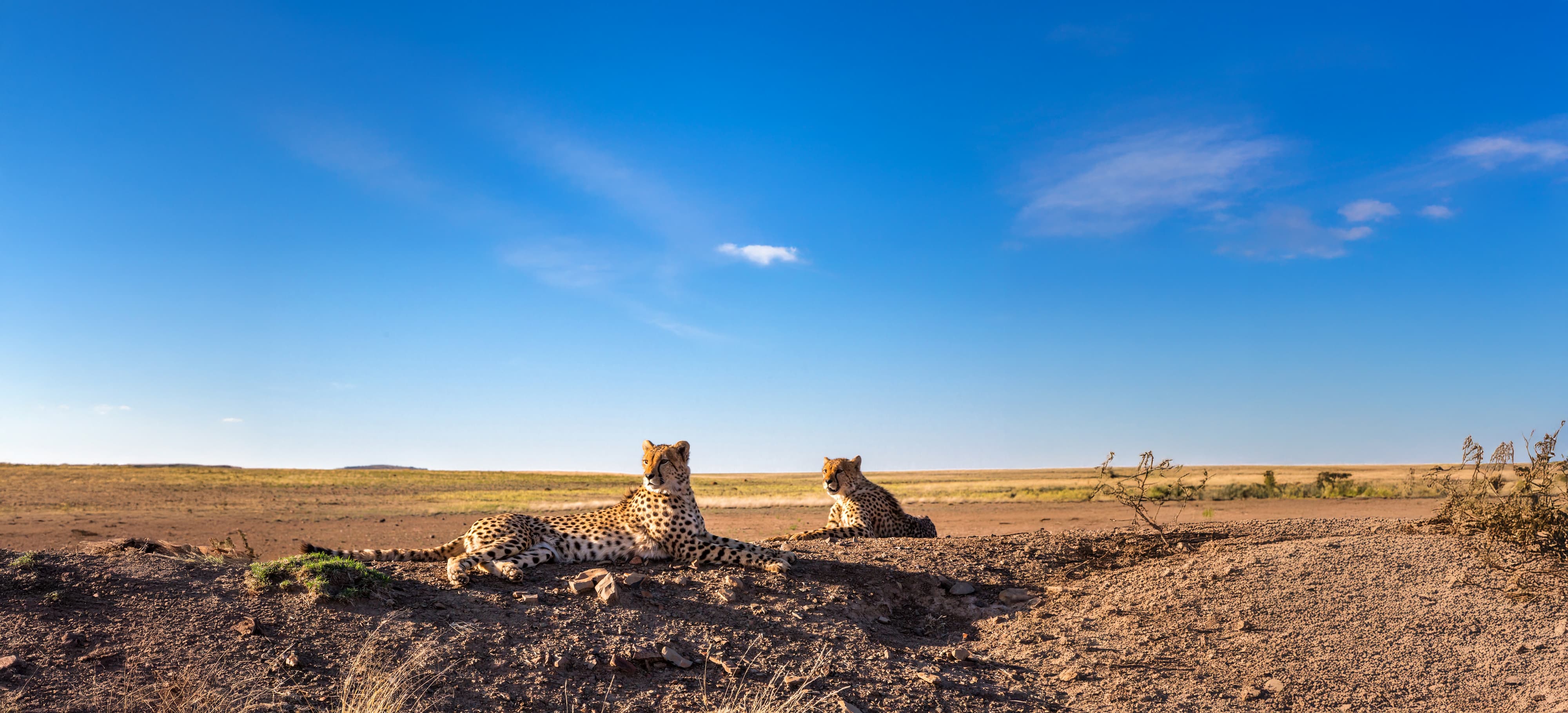 1 Adobestock 246420748 EXTENDED (1)