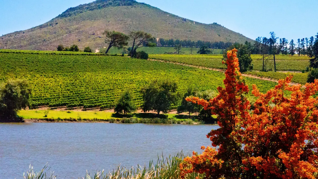 Stellenbosch, Cape Winelands