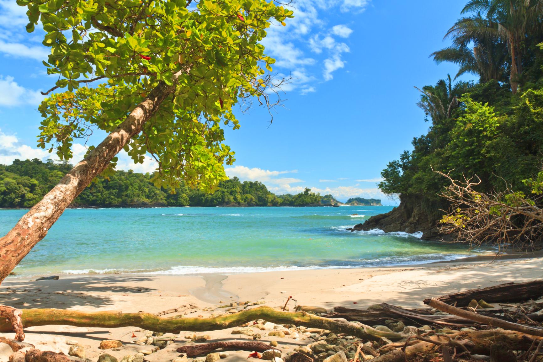 Shutterstock 126481505 Antonio Manuel