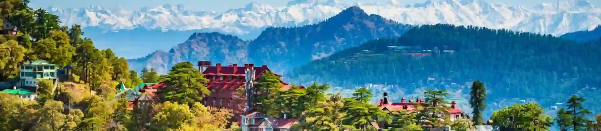 A panoramic view of Shimla, in the foothills of the Himalayas, with colourful hillside houses and pine forests set against the backdrop of snow-capped mountain peaks