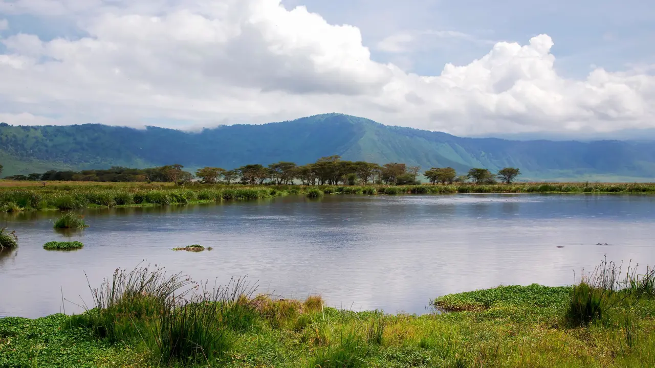 Lake Manyara, view of the lake