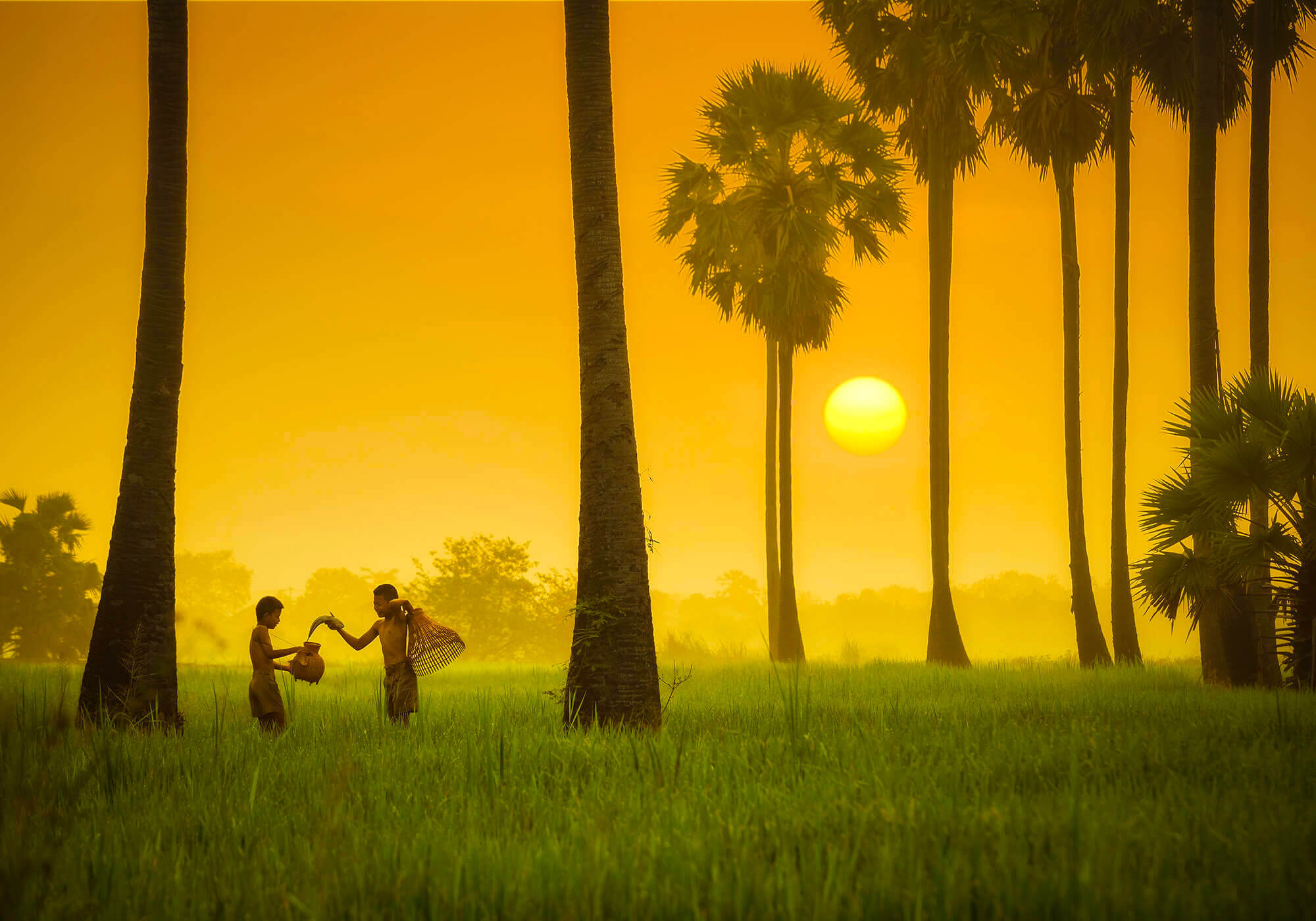 2000X1400 Sustainability Sh 1029287887