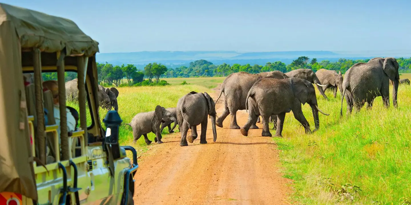 A group of elephants crossing a dirt road in the Maasai Mara, Kenya, with tourists observing from a safari vehicle in the foreground