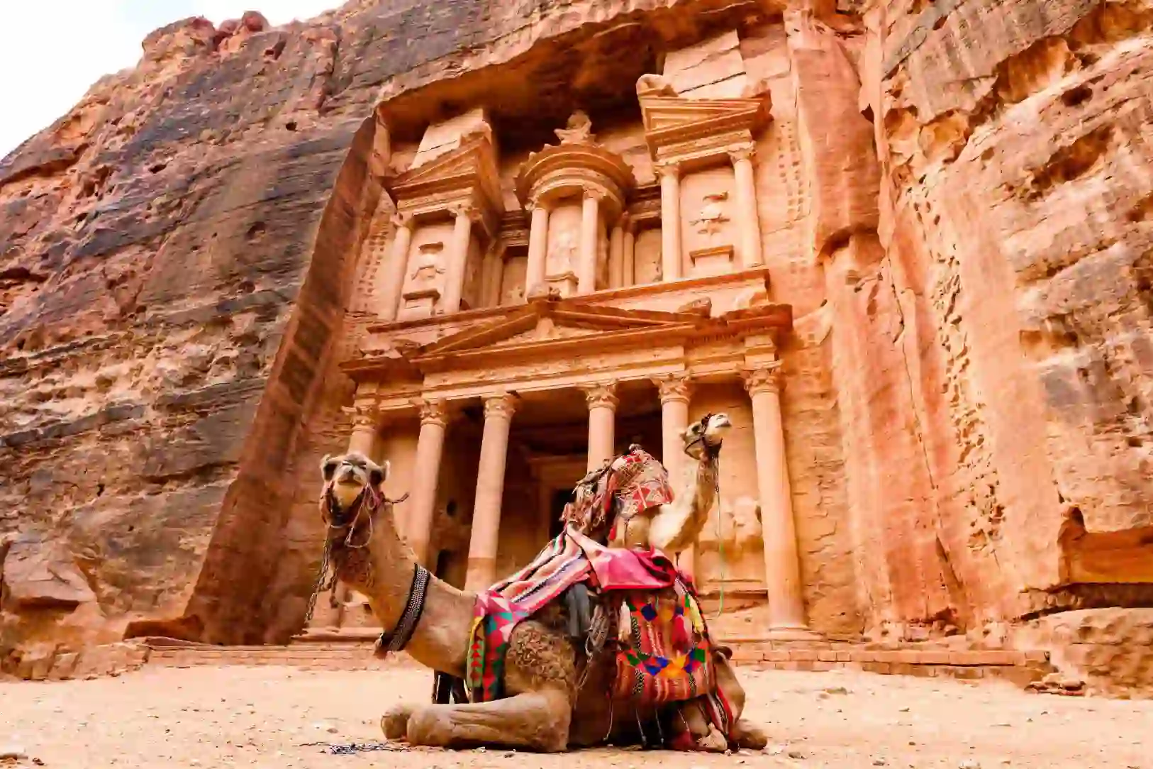 Two camels resting in front of the ancient rock-carved façade of Petra in Jordan, with sunlit sandstone cliffs rising behind