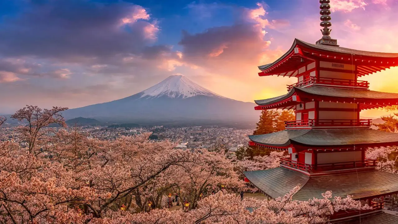 Chureito Pagoda surrounded by cherry blossoms at sunset with Mount Fuji in the background