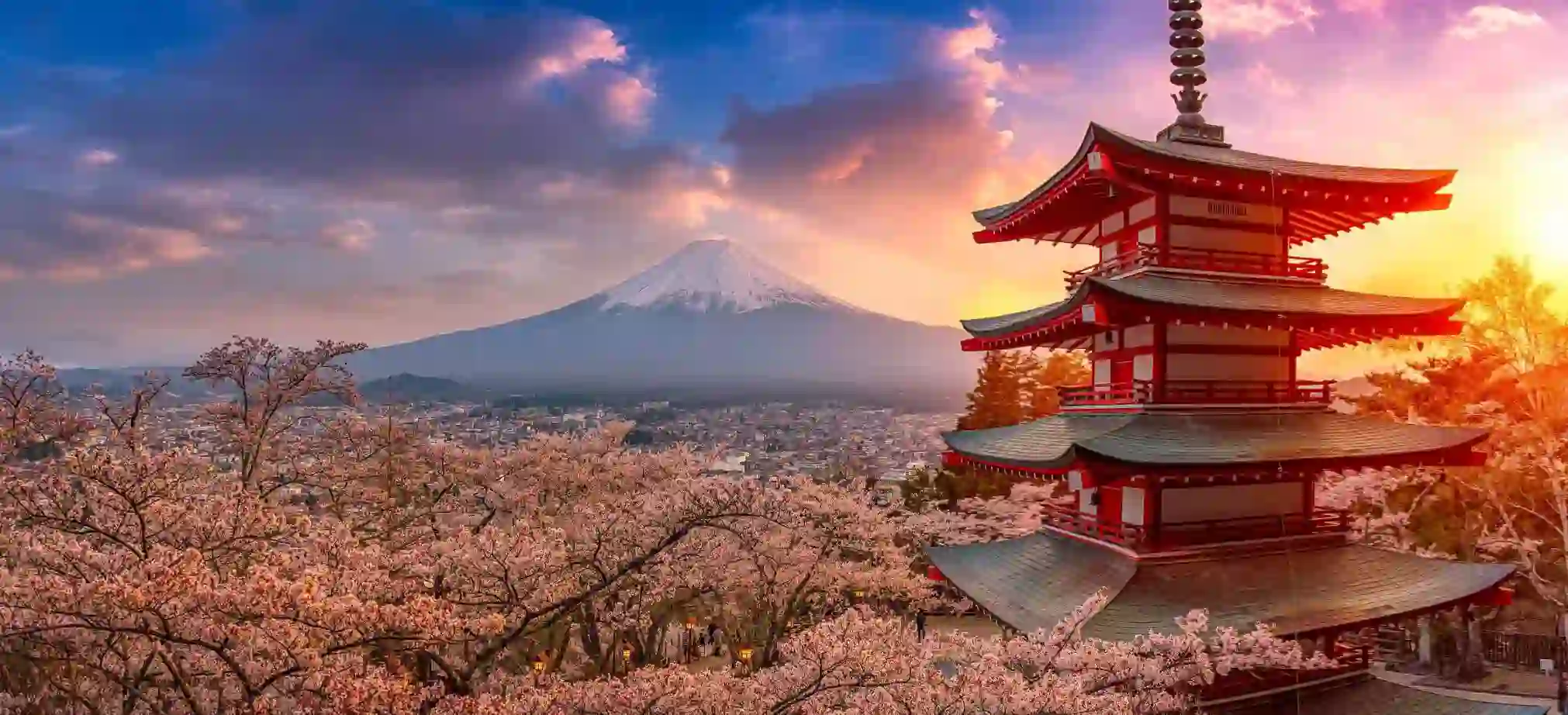 Chureito Pagoda surrounded by cherry blossoms at sunset with Mount Fuji in the background