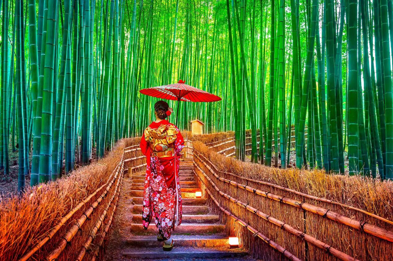 A geisha holding a parasol walks up stone steps through the Arashiyama Bamboo Forest in Kyoto, Japan, surrounded by tall, green bamboo stalks