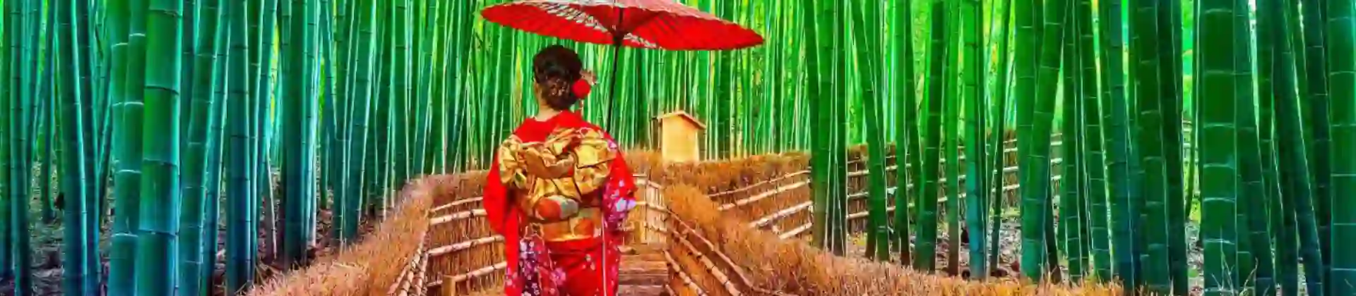 A geisha holding a parasol walks up stone steps through the Arashiyama Bamboo Forest in Kyoto, Japan, surrounded by tall, green bamboo stalks