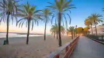 Beach in Marbella, Andalucía