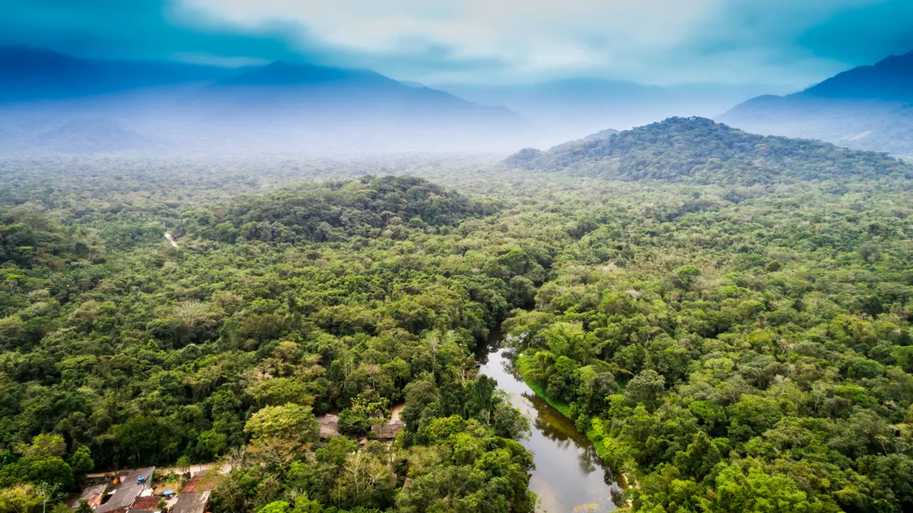 Aerial view of the Amazon rainforest with its dense green canopy