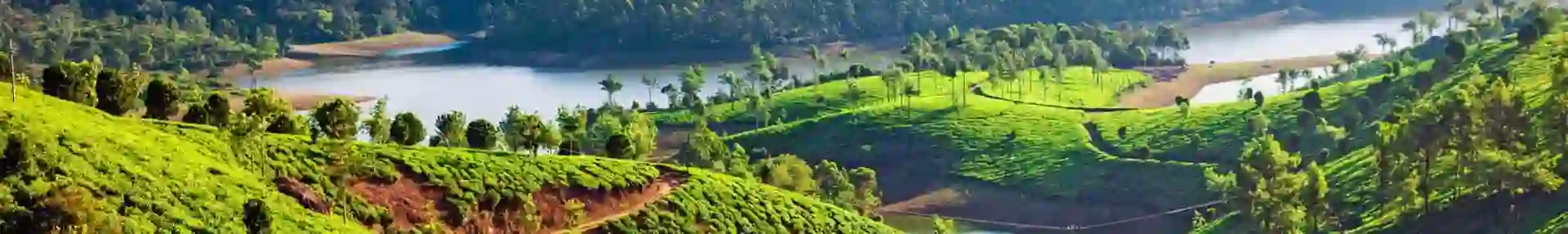 Tea plantations cover rolling green hills near a winding river, with forested slopes and mountains in the background near Munnar, Kerala, India