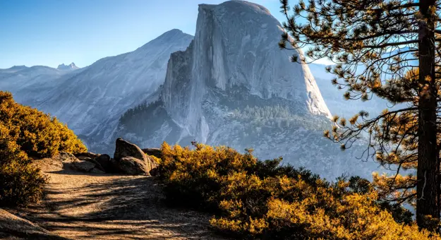 Yosemite National Park, California, with warm yellow shrubs in the foreground, a mountain in the distance, and clear blue skies overhead