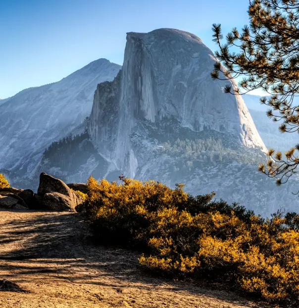Yosemite National Park, California, with warm yellow shrubs in the foreground, a mountain in the distance, and clear blue skies overhead