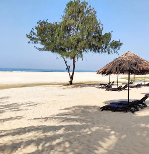 Zuri White Sands, Goa, view of the sandy beach