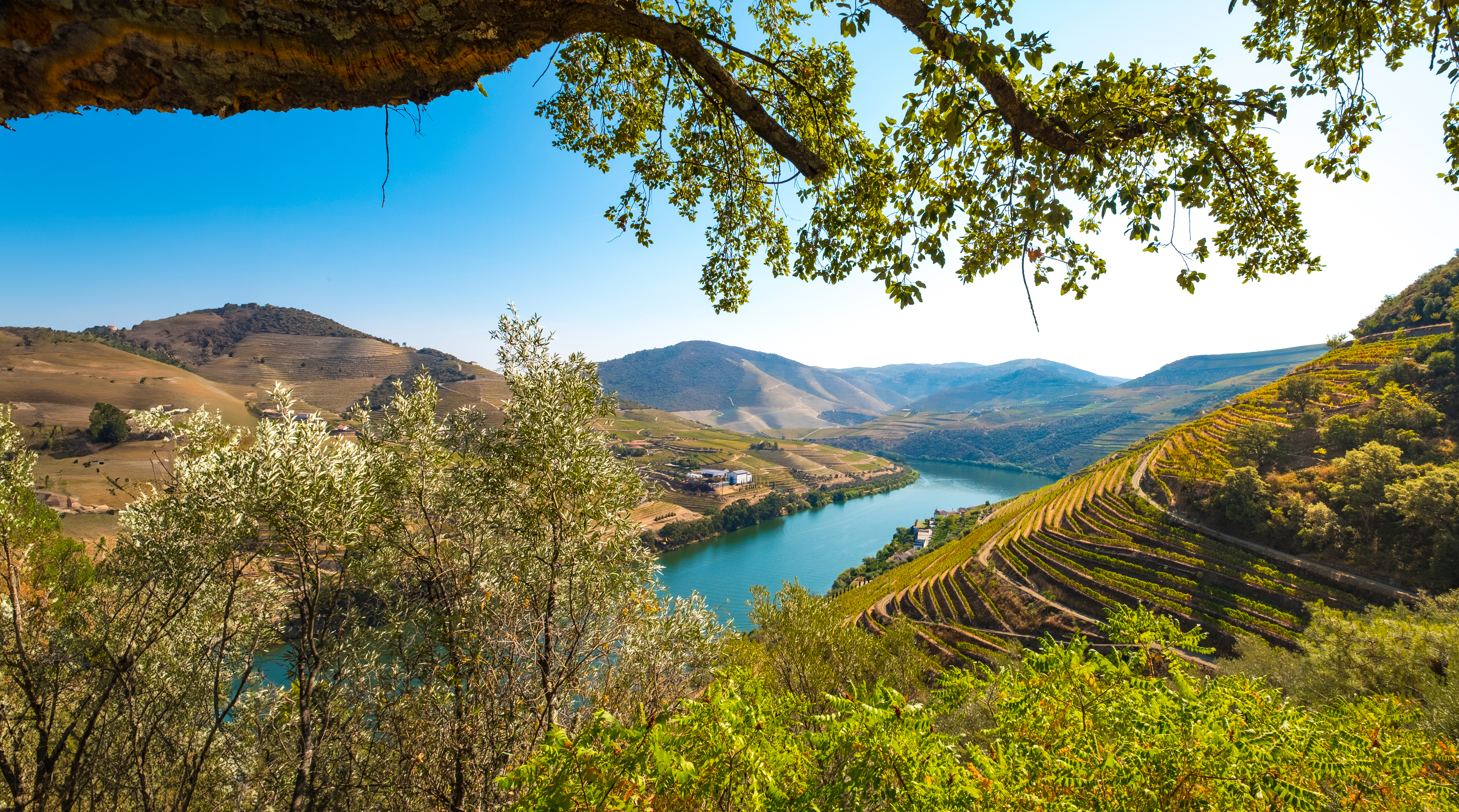 Sh 1028509903 The Duoro Valley EXT (1)