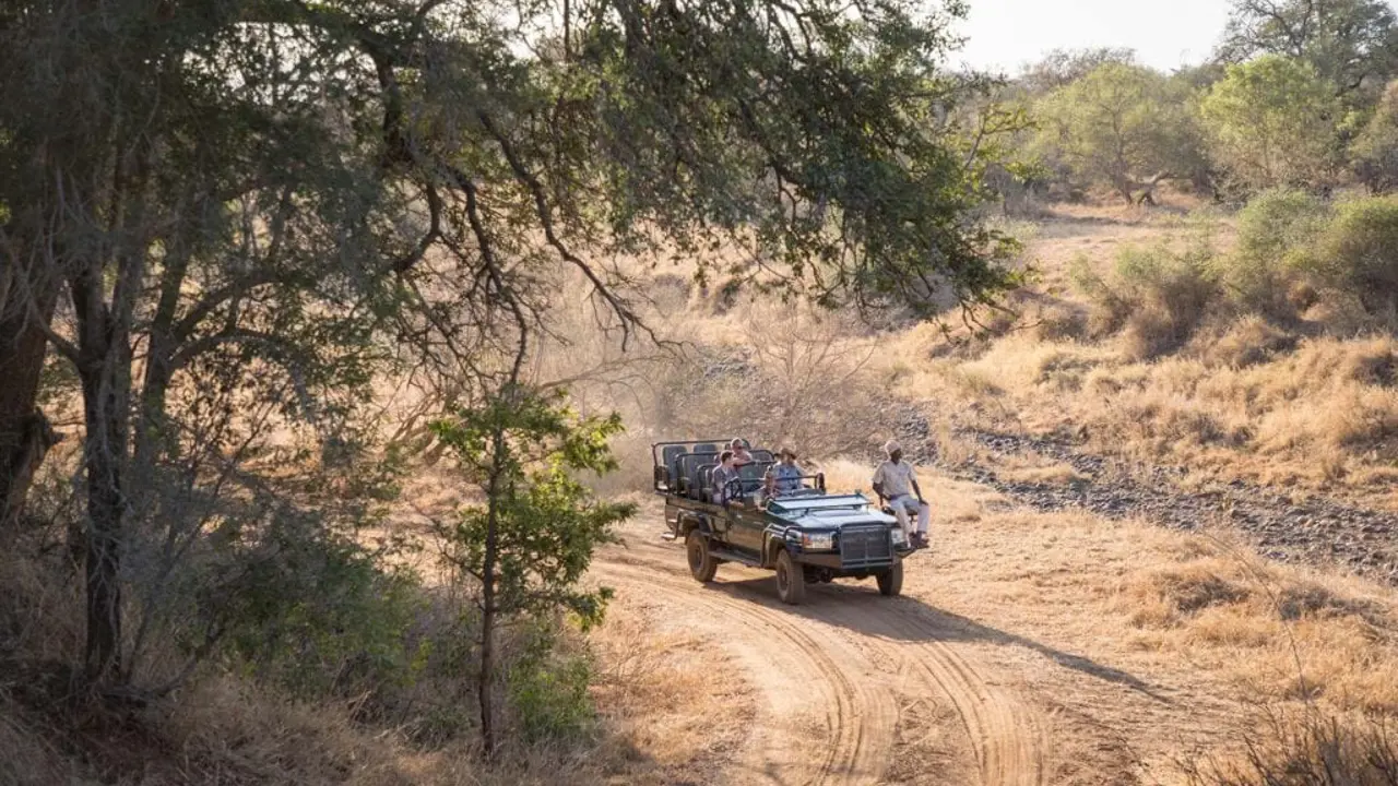 Game drive, Karongwe Game Reserve