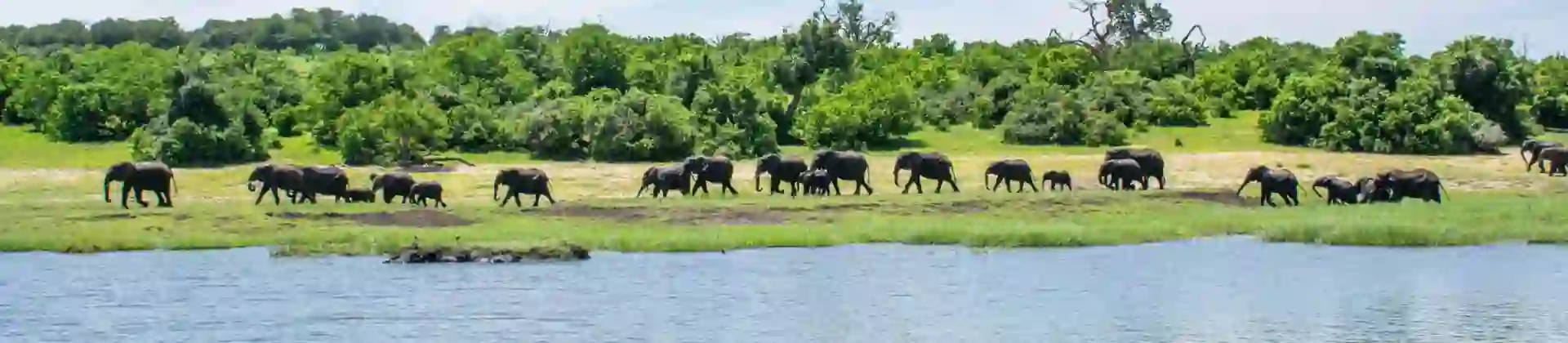 Chobe Boat Cruise Scenes 5
