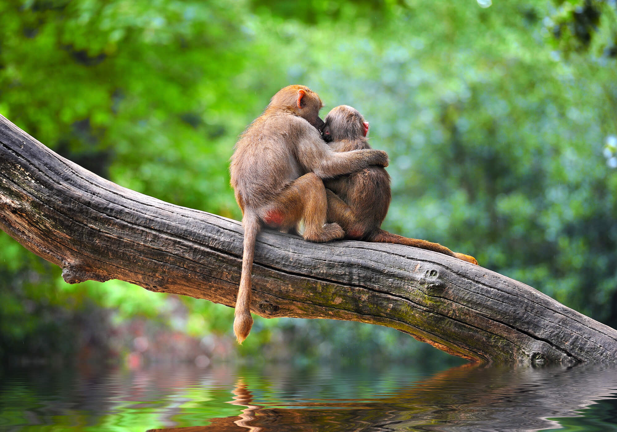 2000X1400 Main Sh 745214758