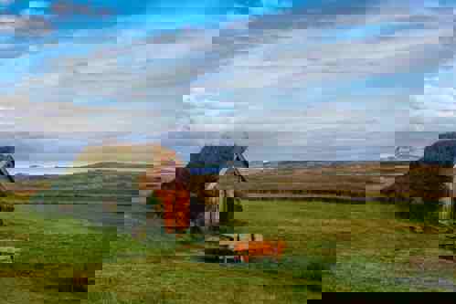 Witness the famous turfed churches