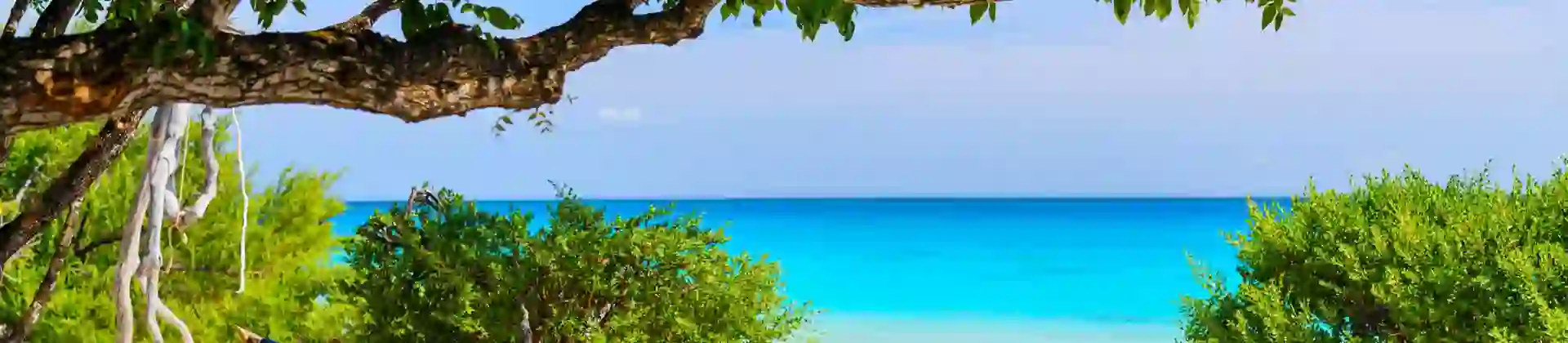 South Mozambique beach