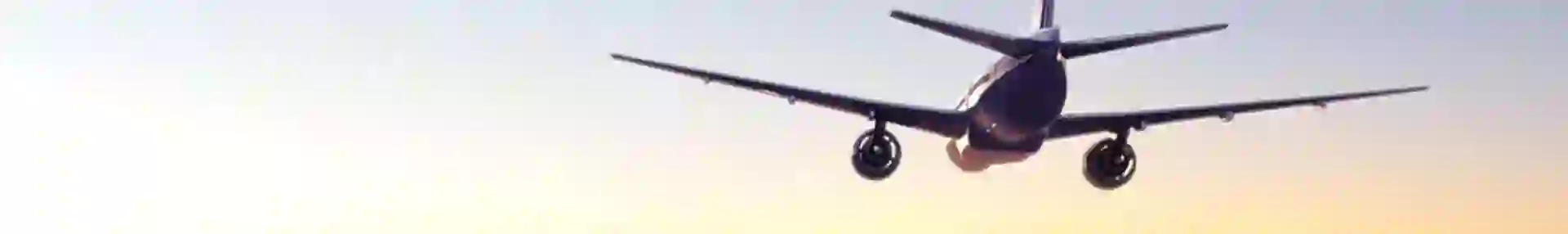 Our guide to the best tours by season